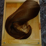 Queue de cheval Blond foncé